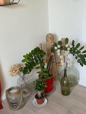 Studio A 15 Mn De Toulouse A Castelginest Exteriör bild